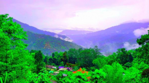 Village Cafe Homestay
